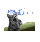 ひじきのきもち（個別スタンプ：6）