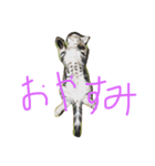 ひじきのきもち（個別スタンプ：8）