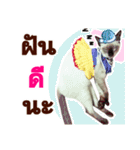 Kanomtarn - The siamese cat（個別スタンプ：3）