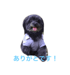 よしでん123（個別スタンプ：4）