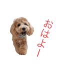 クロエ（個別スタンプ：1）