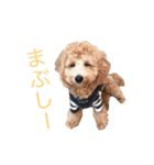 クロエ（個別スタンプ：3）
