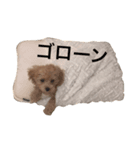 クロエ（個別スタンプ：8）