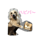 なつ 日常（個別スタンプ：4）