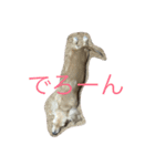 なつ 日常（個別スタンプ：6）
