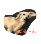 なつ 日常（個別スタンプ：8）