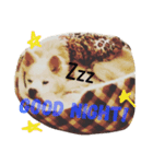 ジョンさまの毎日（個別スタンプ：5）