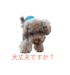 チャオのスタンプ（個別スタンプ：7）