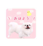 pugustagram（個別スタンプ：2）
