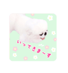 pugustagram（個別スタンプ：4）