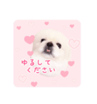pugustagram（個別スタンプ：5）
