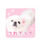 pugustagram（個別スタンプ：7）