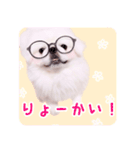 pugustagram（個別スタンプ：8）