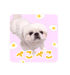 pugustagram（個別スタンプ：9）