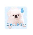 pugustagram（個別スタンプ：11）