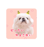 pugustagram（個別スタンプ：12）