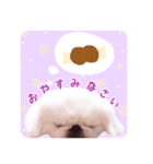 pugustagram（個別スタンプ：14）