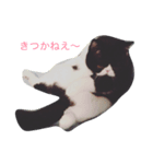 ぶんちゃんです（個別スタンプ：4）