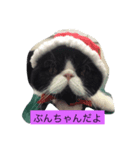 ぶんちゃんです（個別スタンプ：8）