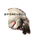 レロにゃんスタンプ（個別スタンプ：9）