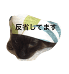 レロにゃんスタンプ（個別スタンプ：14）