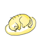 猫のつばさ（個別スタンプ：19）