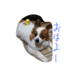まやのスタンプ（個別スタンプ：1）