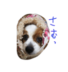 まやのスタンプ（個別スタンプ：15）