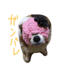 まやのスタンプ（個別スタンプ：19）