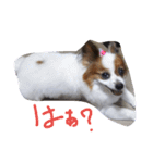 まやのスタンプ（個別スタンプ：25）
