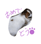 まやのスタンプ（個別スタンプ：26）