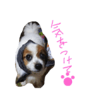 まやのスタンプ（個別スタンプ：30）