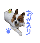 まやのスタンプ（個別スタンプ：32）