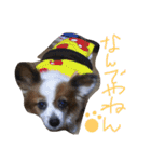 まやのスタンプ（個別スタンプ：33）