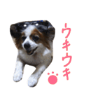 まやのスタンプ（個別スタンプ：38）