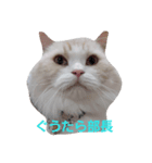 ウチの子大好き♥（個別スタンプ：5）