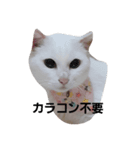 ウチの子大好き♥（個別スタンプ：7）