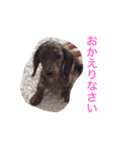 クッキー＆ガブ（個別スタンプ：10）