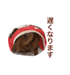 クッキー＆ガブ（個別スタンプ：11）