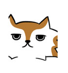 Mixed Dog's Daily（個別スタンプ：6）
