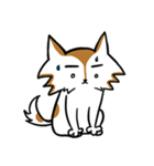 Mixed Dog's Daily（個別スタンプ：13）
