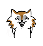 Mixed Dog's Daily（個別スタンプ：19）