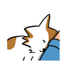 Mixed Dog's Daily（個別スタンプ：31）