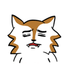 Mixed Dog's Daily（個別スタンプ：40）