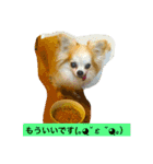 ロングコートちわわのモコとキー（個別スタンプ：2）