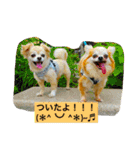 ロングコートちわわのモコとキー（個別スタンプ：9）
