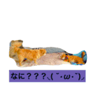 ロングコートちわわのモコとキー（個別スタンプ：14）