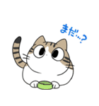 うちねこ★スタンプ（個別スタンプ：2）