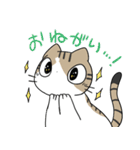 うちねこ★スタンプ（個別スタンプ：32）