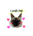 s a n a（個別スタンプ：3）